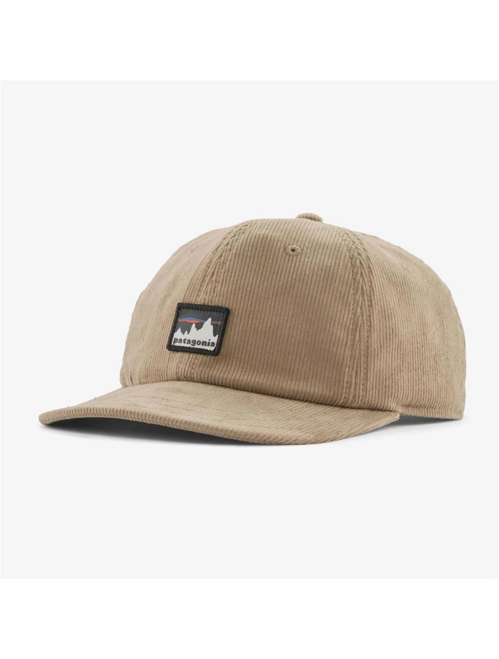 Patagonia Corduroy Cap