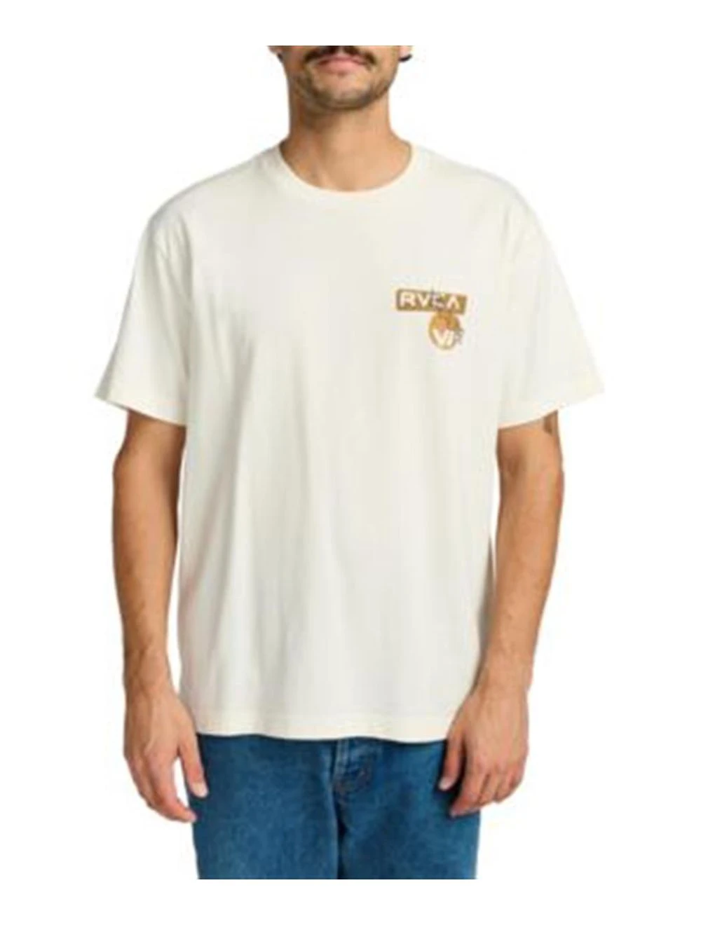RVCA Desertscape (ANW)