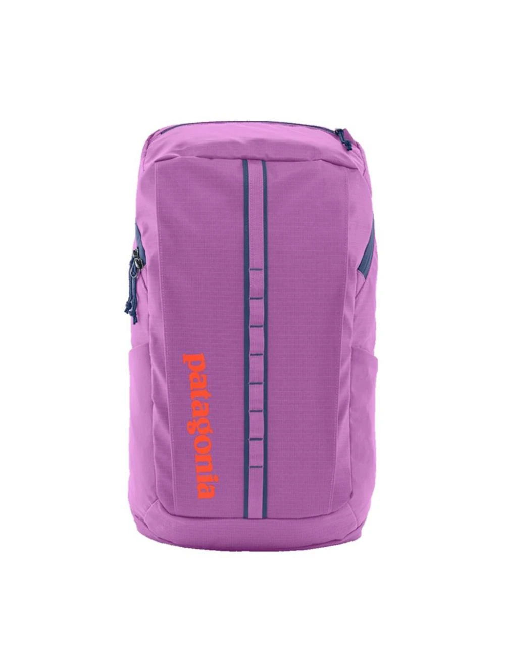 That is a Backpack Patagonia Black Hole Pack 25L Brisk Purple