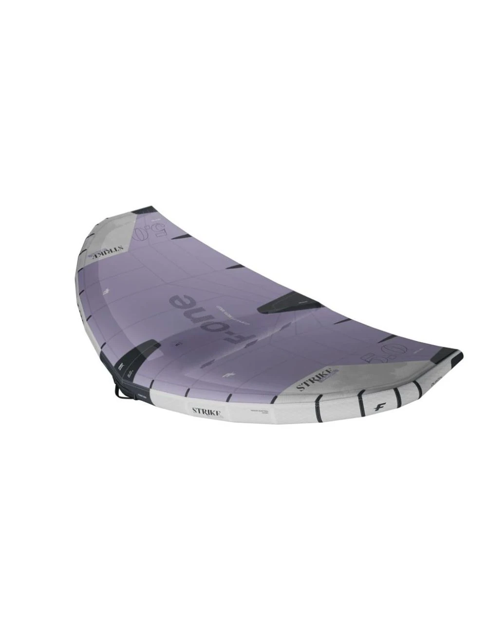 That is a Foilwing; Wing; F-one Strike V6 QuadX Lilac Lilac