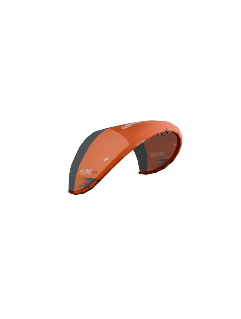 That is a Parawing; Lowkite F-one Plume Flame/Onyx Flame/Onyx