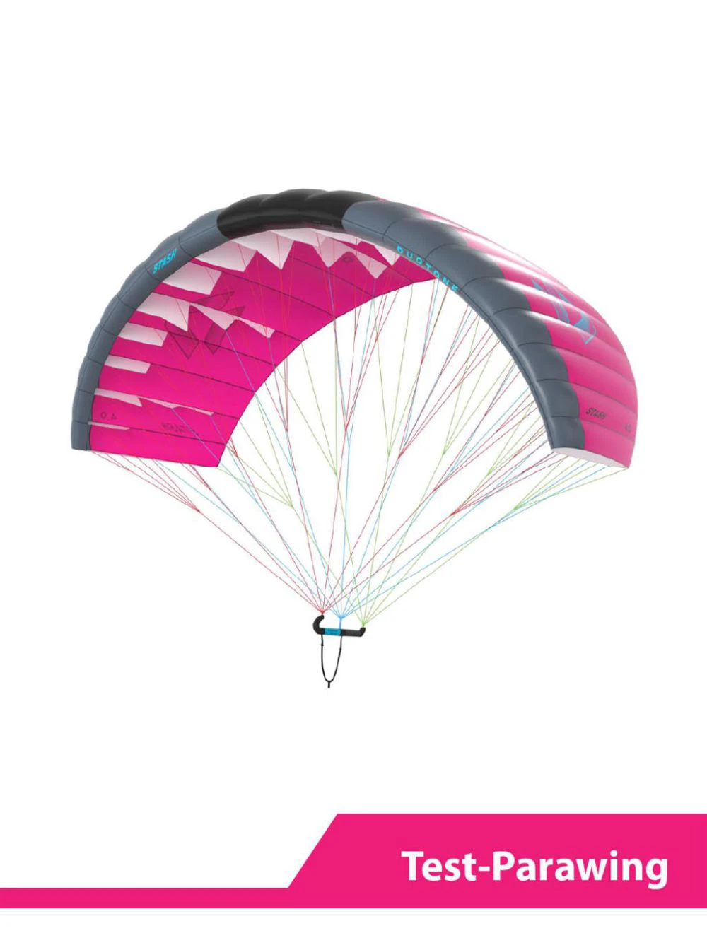 That is a Parawing; Lowkite Duotone Testwing Stash C15 Purple/Dark-Grey C15 Purple/Dark-Grey