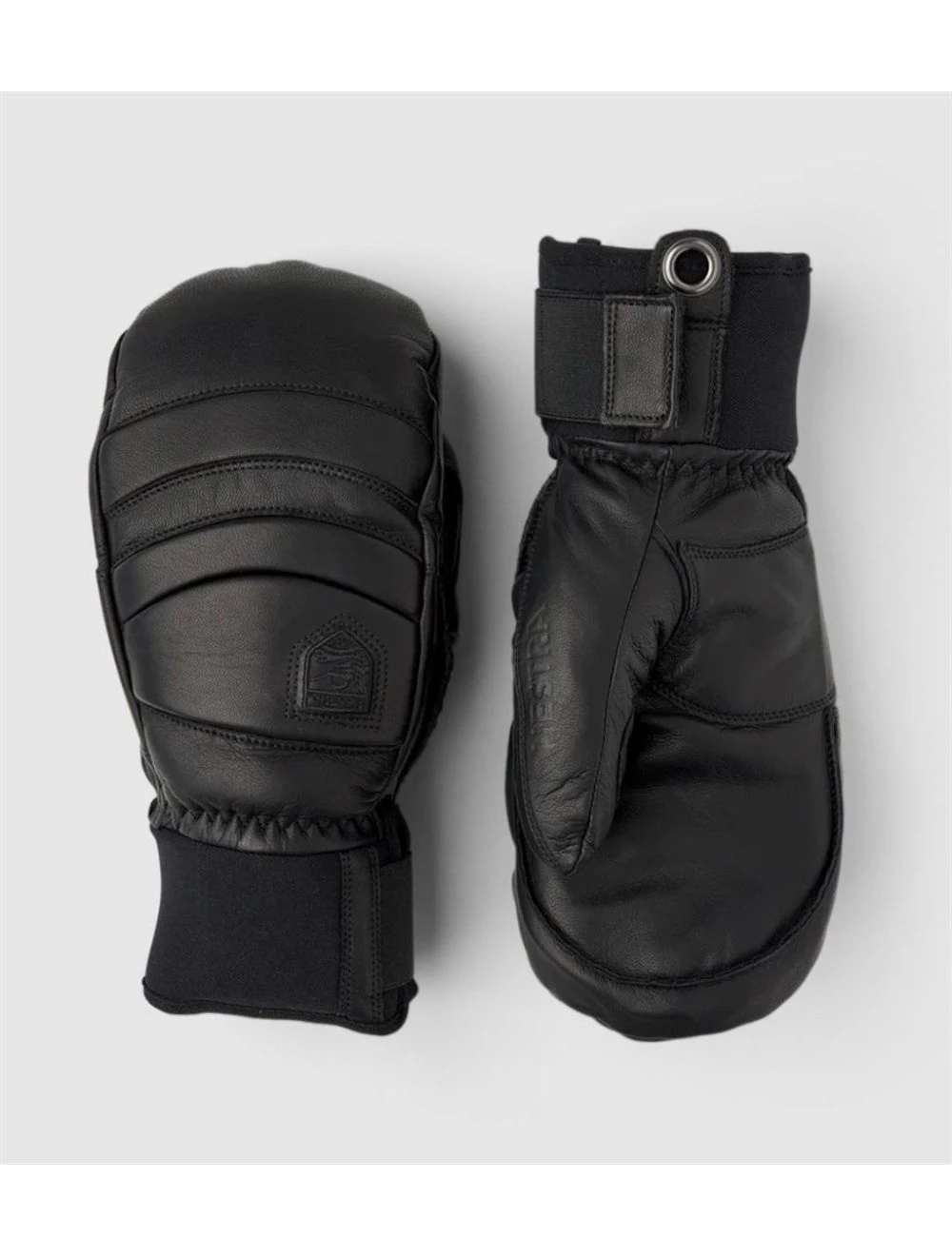 That is a Skigloves;Snowboard.gloves Hestra Fall Line - Mitt Black