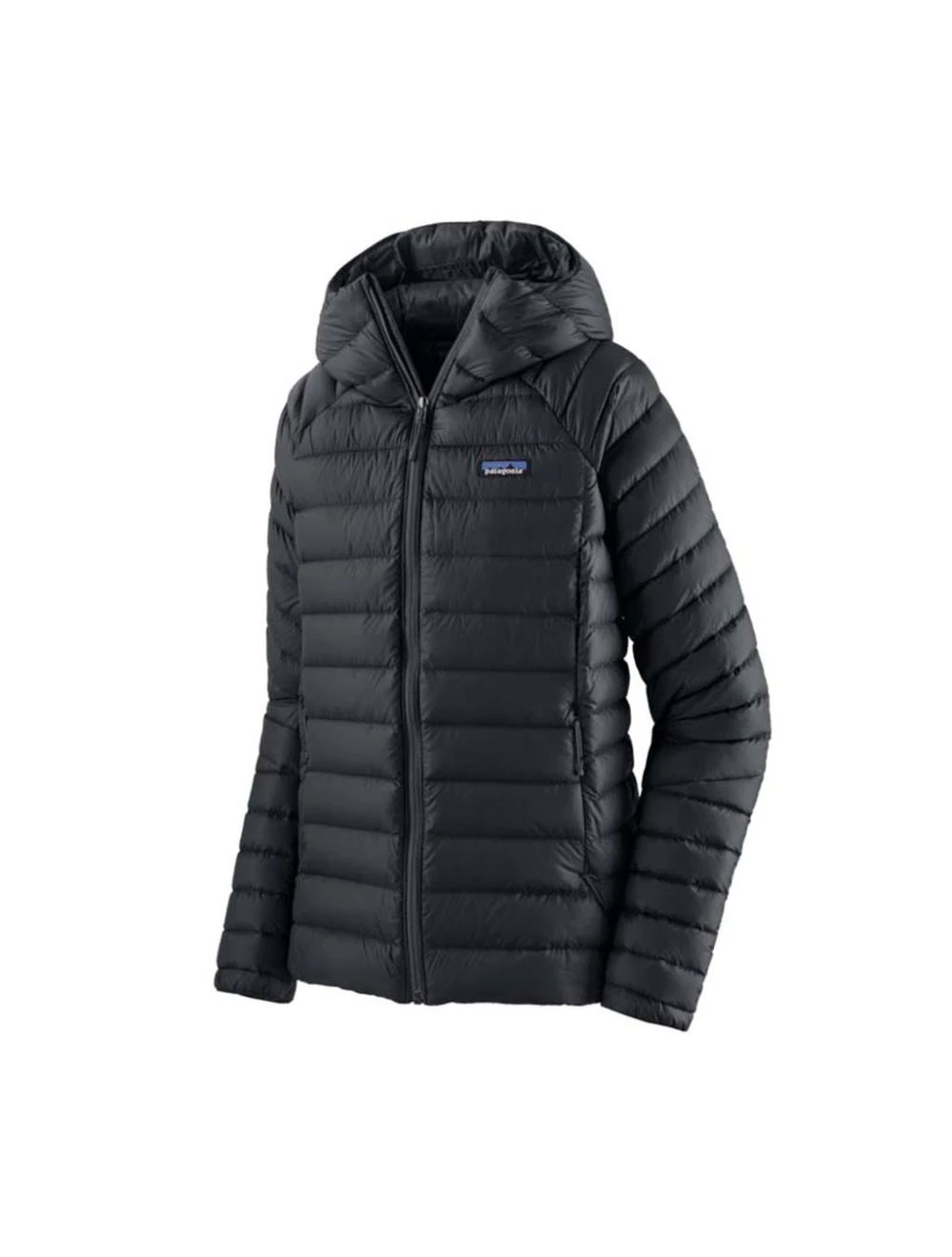 That is a Jacket Patagonia W's Down Sweater Hoody Black
