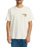 RVCA Desertscape (ANW)