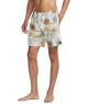 RVCA Atlas Elastic (NAT)