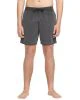 Volcom Center Trunk 17