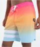 That is a Boardshort; Surfshort Hurley Phantom Block Party 18' nectarine