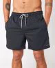 That is a Boardshorts Rip Curl Daily Volley Black