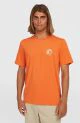 That is a Rash Guard; Lycra O'Neill O'Riginals Hybrid T-Shirt cinnamon stick