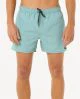 That is a Boardshorts Rip Curl Offset Volley blue lagoon