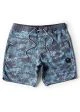 That is a Boardshort;Surfshort Vissla Botanica 18.5" graphite