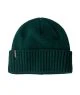 That is a  Patagonia Brodeo Beanie Cascade Green Cascade Green