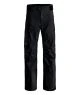 That is a Snowboard Pants; Ski Pants; Ortovox Ravine Free 3L Pants M black raven