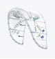 That is a Kite Duotone DTK Rebel SLS concept blue 2026 c05 undyed c05 undyed