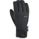 That is a  DaKine Titan Gore-Tex Short Glove Black Black