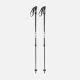 That is a Skipoles; Faction Ski Agent Poles Black Black