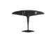 That is a Foil; Wingfoil SAB Foil Glider Blackbird Balz Pro