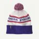 That is a  Patagonia Powder Town Beanie Park Stripe: Viking Blue Park Stripe: Viking Blue