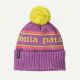 That is a Beanie Patagonia K's Powder Town Beanie Park Stripe: Brisk Purple