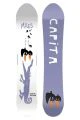 That is a Snowboard; Capita The Navigator