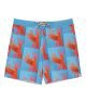 That is a Boardshort;Swimtrunks Billabong Good Times Gallery LT Multi Multi