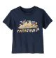 That is a T-Shirt;  Patagonia Baby Graphic T-Shirt Fitz Roy Superbloom Fitz Roy Superbloom