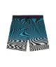 That is a Boardshorts;Swimshorts Volcom Lido Print Trunk Youth Rifle Green Rifle Green