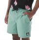 That is a Walkshort Picture Narvik shorts Wasabi