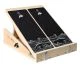 That is a Balance Trainer F2 Stepboard