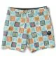 That is a Boardshort;Swimtrunks Vissla Ecology Center 17.5" Multi Multi