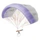 That is a Parawing; Lowkite F-one Quest Lilac/White Lilac/White