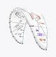 That is a Kite Duotone DTK Evo SLS Concept Blue 2026 c05 undyed c05 undyed