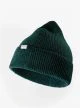 That is a  Penguin Merino Beanie Seaweed Seaweed