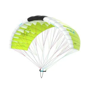 That is a Parawing; Lowkite Duotone Stash C13 Lime/White C13 Lime/White